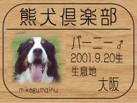 ���o�[�j�[�p�p����̂g�o�ւf�n�I